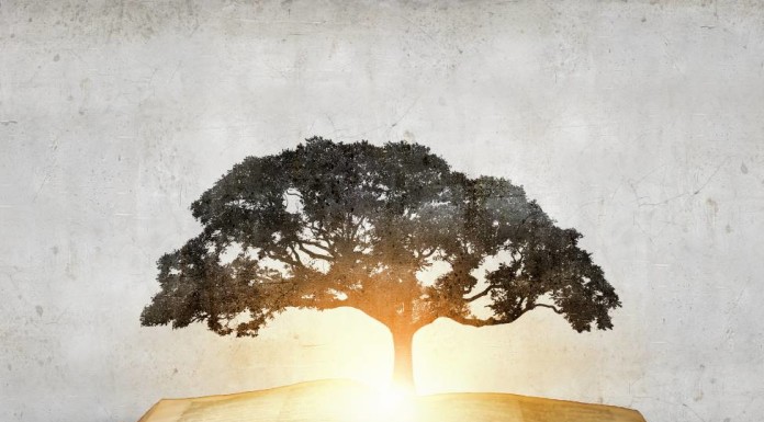 What is the Tao Te Ching – Verse one – Week 2 what is the tao te ching