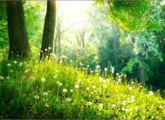 Empty your cup and free yourself from worry empty your cup