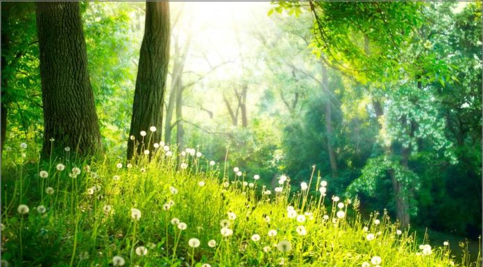 Empty your cup and free yourself from worry empty your cup