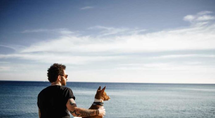 How to find your way to peace, pleasure, and happiness way to peace