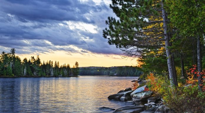 Living Softly: Tao Te Ching verse 43 tao te ching 43