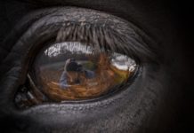 Why you should see all of creation as yourself: Tao Te Ching verse 53 tao te ching verse 53