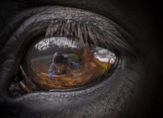 Why you should see all of creation as yourself: Tao Te Ching verse 53 tao te ching verse 53